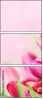 99014278