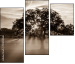 110890468