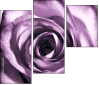 11865044
