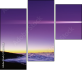 16699558
