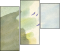 21422136