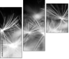 23180311