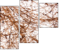 23639472