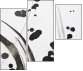 23695176