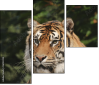 26122223