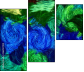 262127014