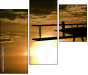 26817733