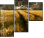 27477176