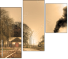 29517510