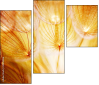 30258126