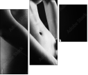 30291161