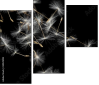 30521892