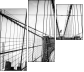 319353344