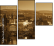 36297051