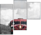 36348049