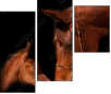 38086864