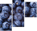 38114663