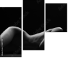 38857159