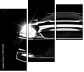 39752281