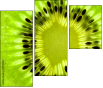 39788047