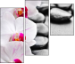 40051892