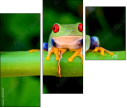 42467641