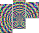 43418541