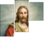44247495