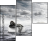 49167138