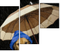 49306047