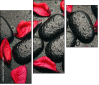 49357610