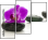49566256