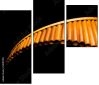 50197019