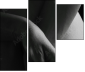 51083503