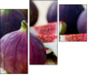 52014179