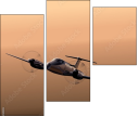 53511493