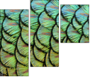 53512479