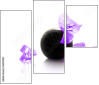54154961