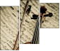 54506799