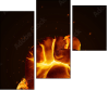 54582803