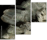 55066305