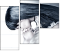 55810226