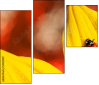 55820987