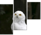 57060206