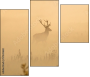 57269660