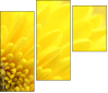 57915870