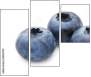 60359707
