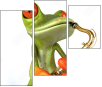 61064251