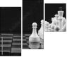 64265045