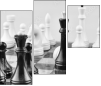 64265081